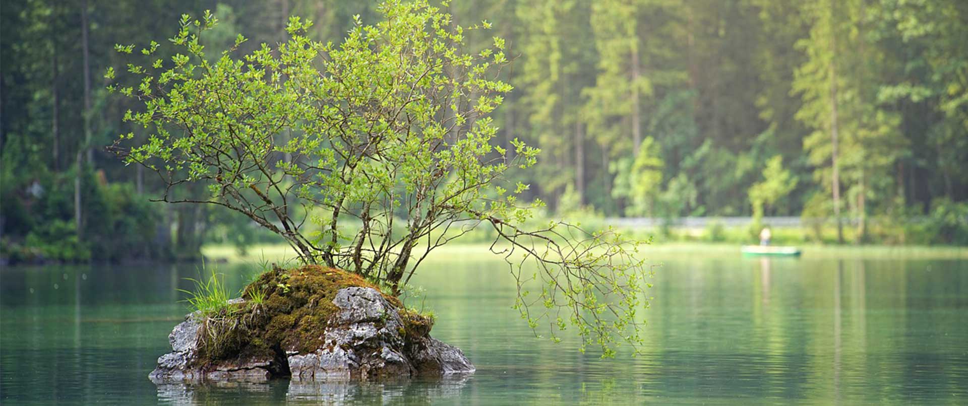 Anna Filippo Psic�loga